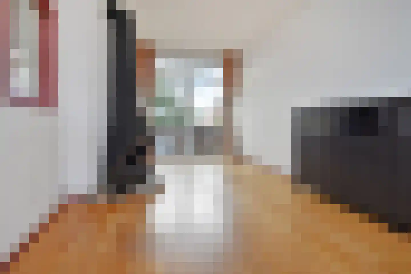 Soestdijksekade 251 Den Haag thumbnail 8