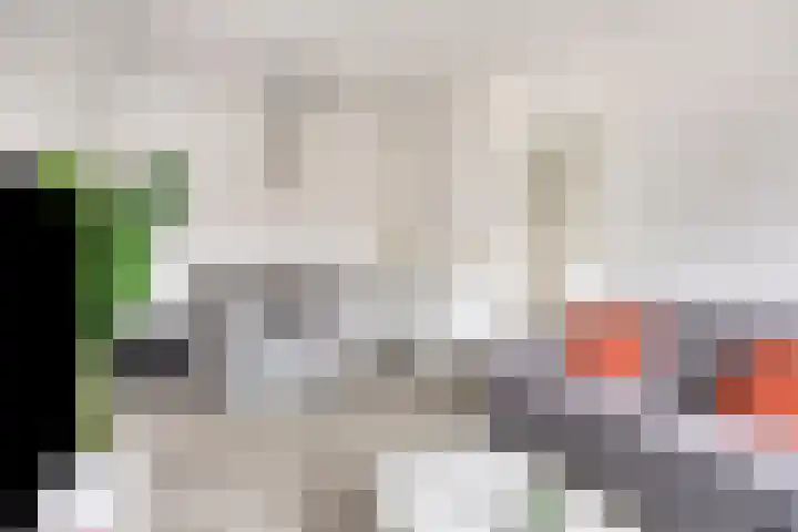 Soestdijksekade 255 Den Haag thumbnail 10