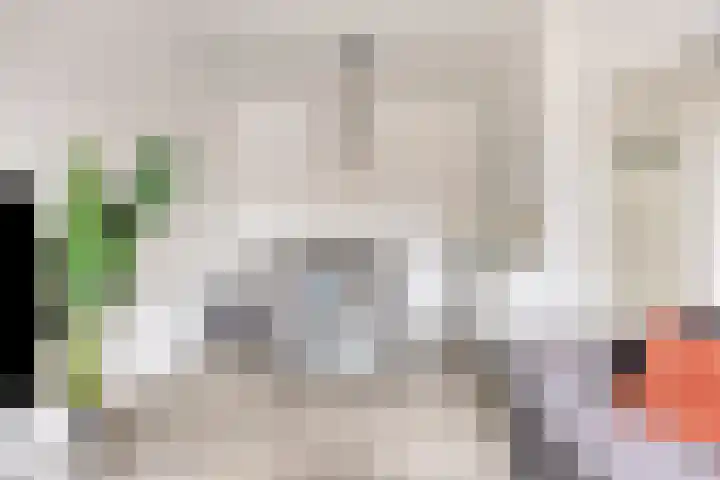 Soestdijksekade 255 Den Haag thumbnail 11