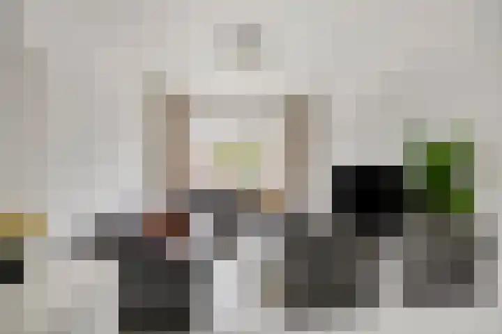 Soestdijksekade 255 Den Haag thumbnail 12