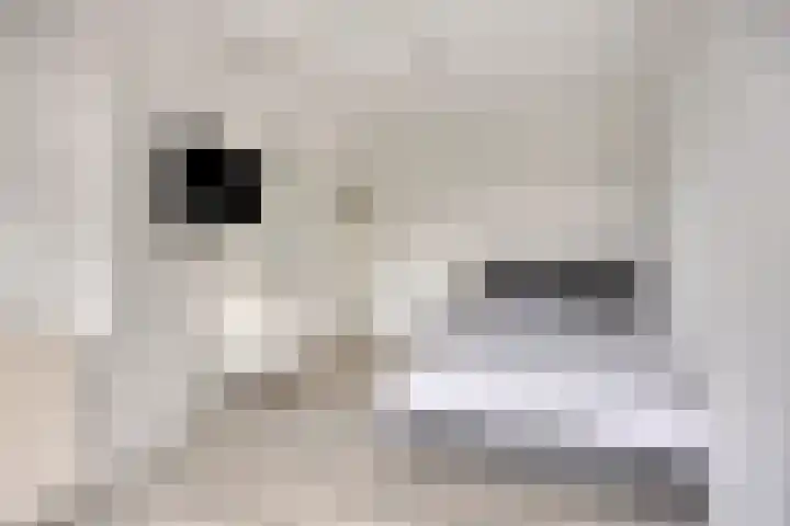 Soestdijksekade 255 Den Haag thumbnail 17