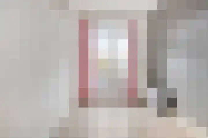 Soestdijksekade 255 Den Haag thumbnail 18