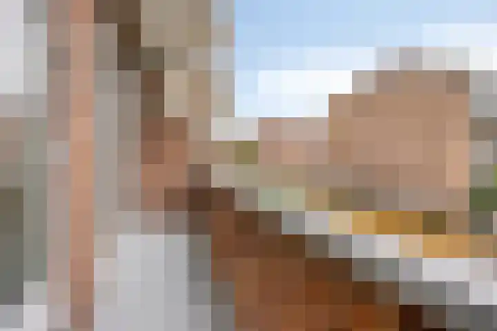 Soestdijksekade 255 Den Haag thumbnail 22