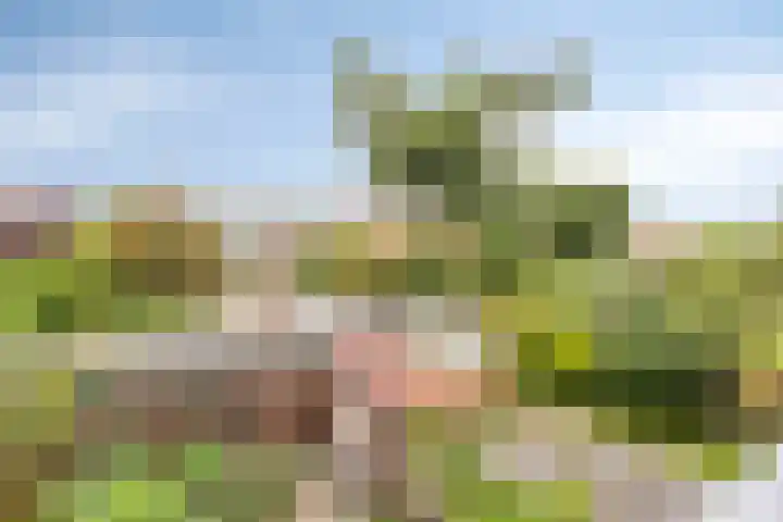 Soestdijksekade 255 Den Haag thumbnail 23