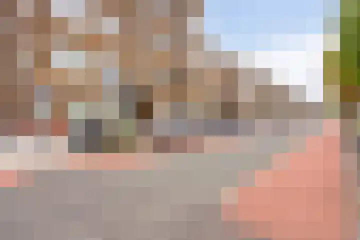 Soestdijksekade 255 Den Haag thumbnail 4
