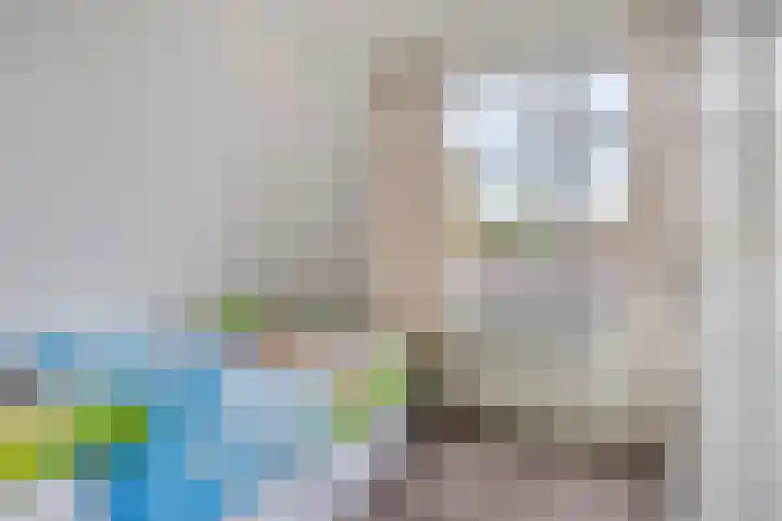 Soestdijksekade 255 Den Haag thumbnail 8