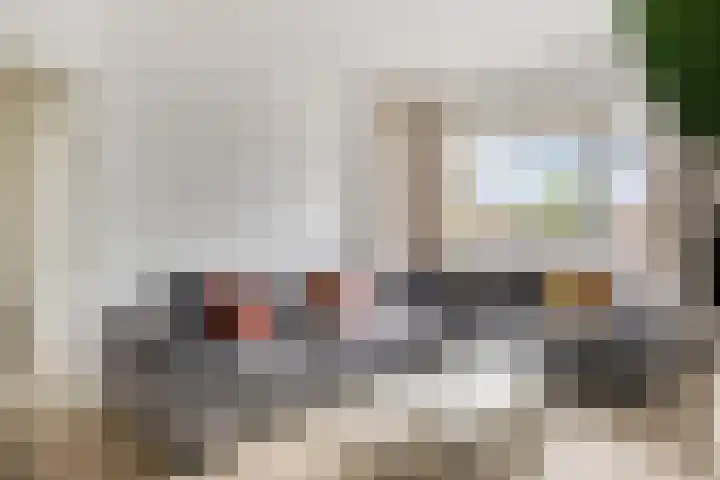 Soestdijksekade 255 Den Haag thumbnail 9