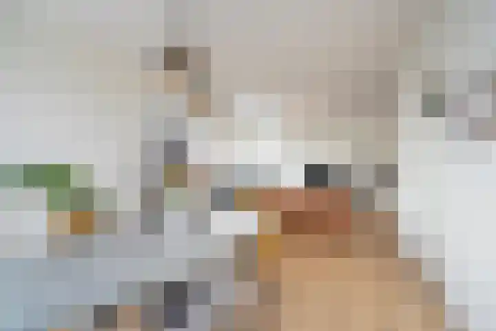 Soestdijksekade 265 Den Haag thumbnail 11