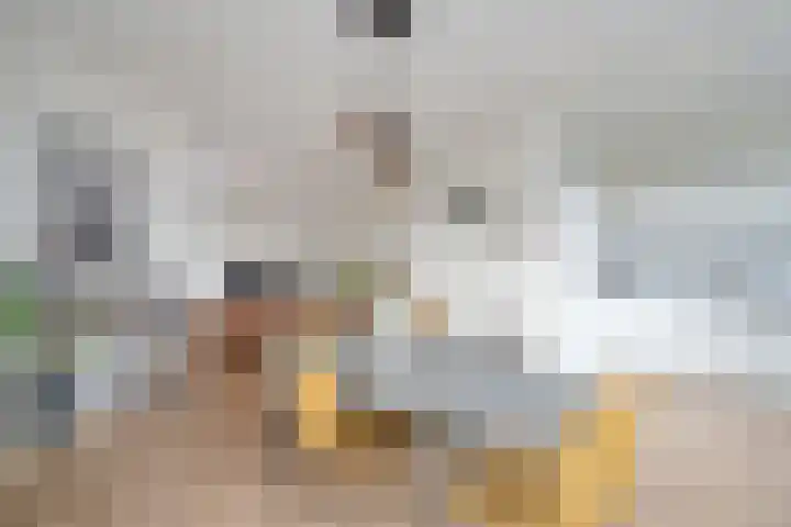 Soestdijksekade 265 Den Haag thumbnail 12