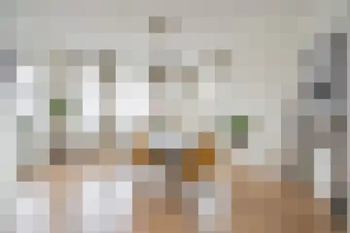 Soestdijksekade 265 Den Haag thumbnail 13