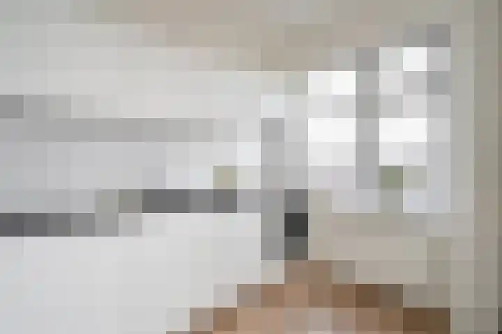 Soestdijksekade 265 Den Haag thumbnail 16
