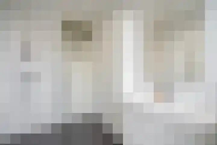 Soestdijksekade 265 Den Haag thumbnail 24