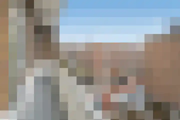 Soestdijksekade 265 Den Haag thumbnail 4