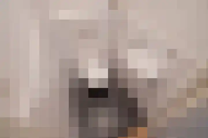 Soestdijksekade 265 Den Haag thumbnail 8
