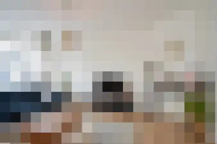 Soestdijksekade 265 Den Haag thumbnail 9