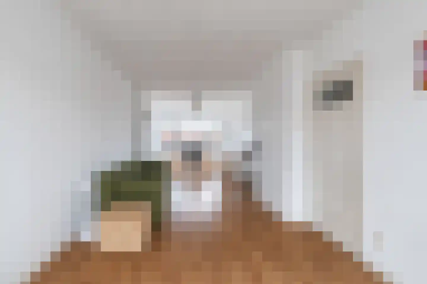 Soestdijksekade 269 A Den Haag thumbnail 6
