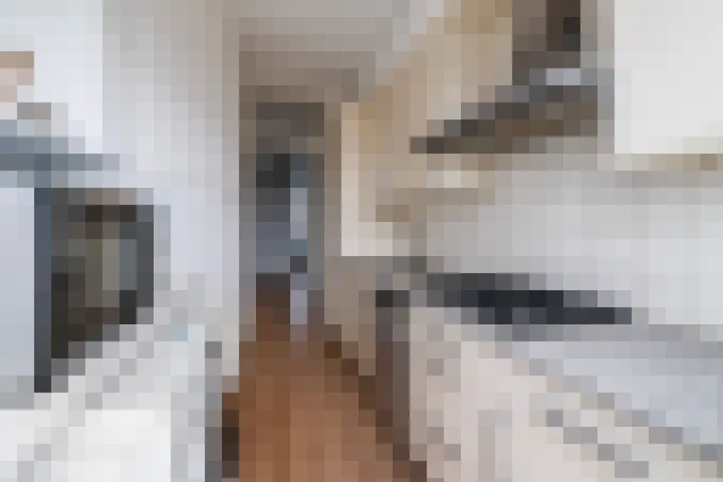 Soestdijksekade 269 A Den Haag thumbnail 8