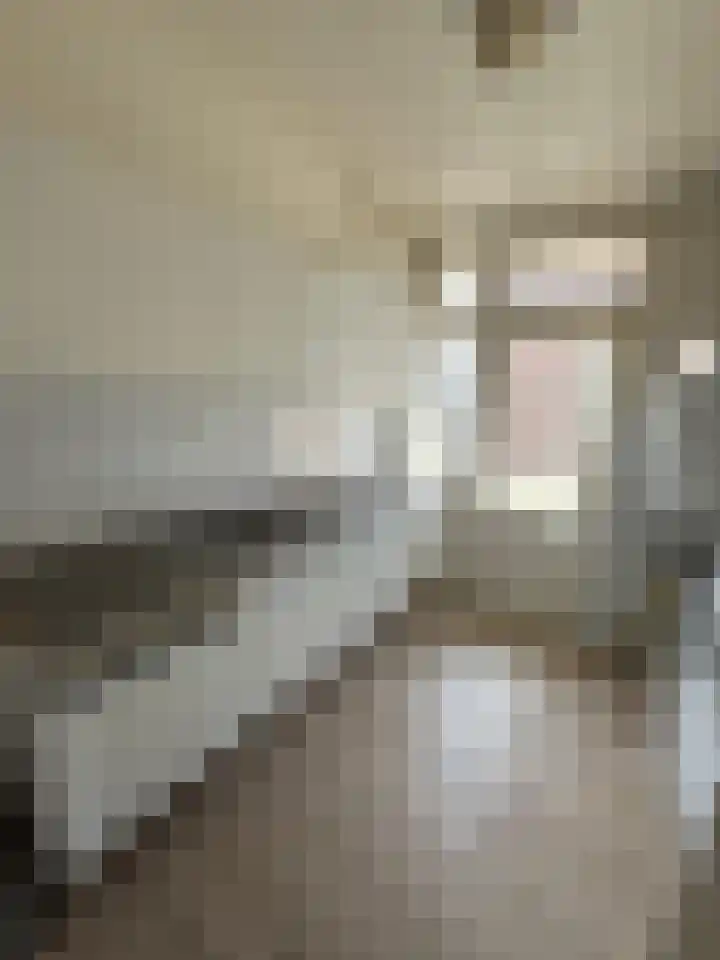 Soestdijksekade 273 Den Haag thumbnail 13