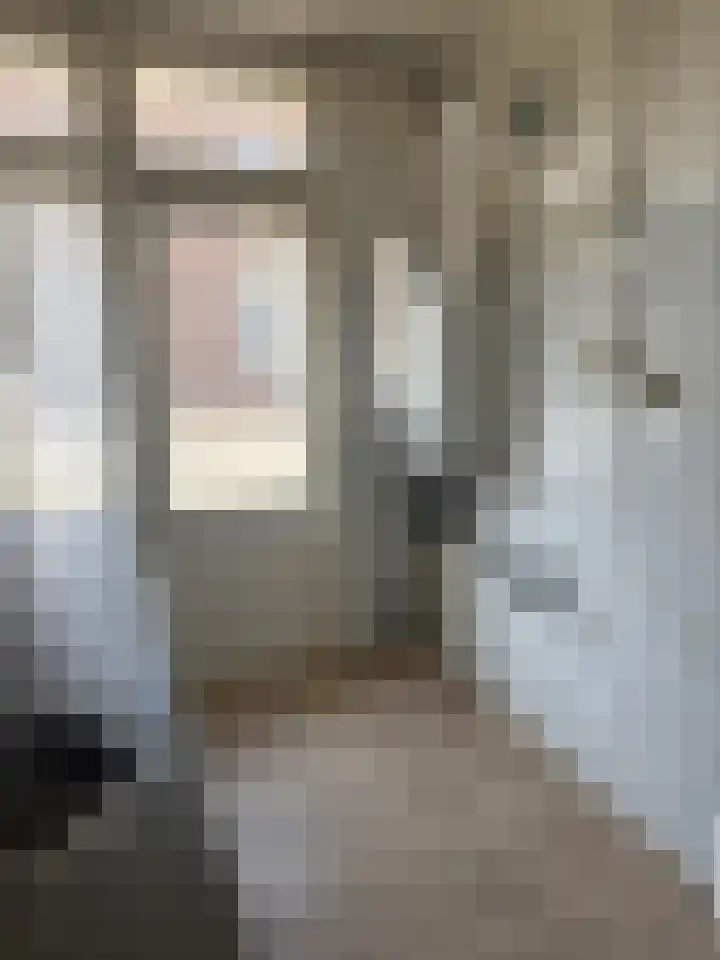 Soestdijksekade 273 Den Haag thumbnail 14