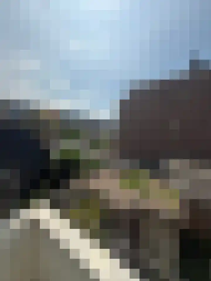Soestdijksekade 273 Den Haag thumbnail 16