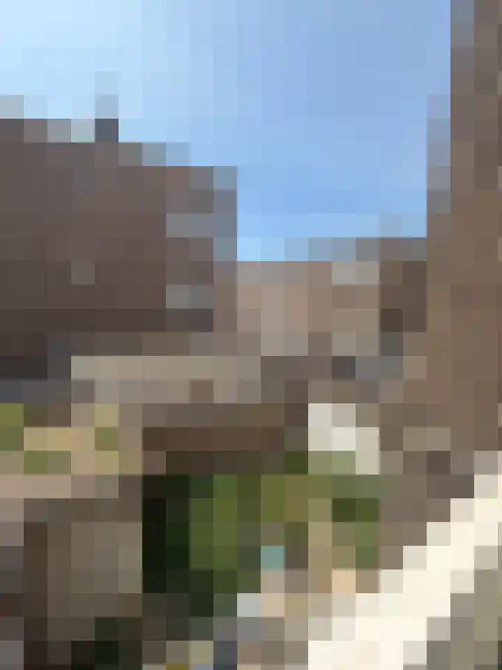 Soestdijksekade 273 Den Haag thumbnail 17