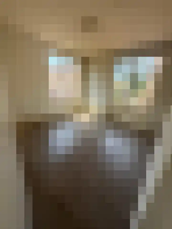 Soestdijksekade 273 Den Haag thumbnail 18
