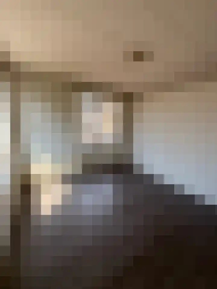 Soestdijksekade 273 Den Haag thumbnail 19