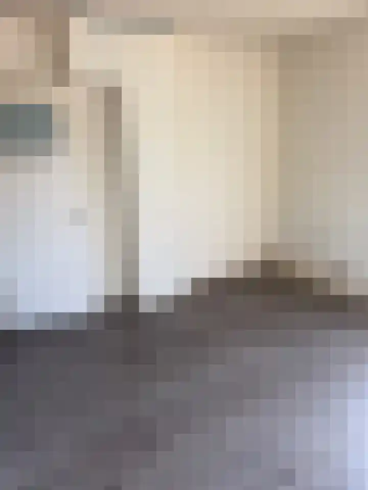 Soestdijksekade 273 Den Haag thumbnail 20