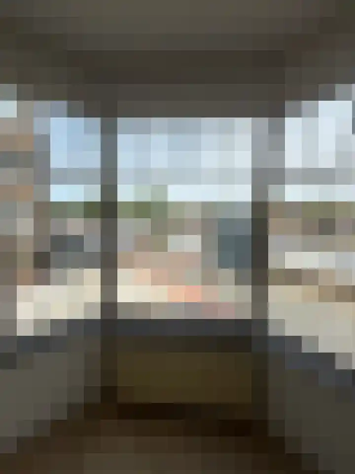Soestdijksekade 273 Den Haag thumbnail 21