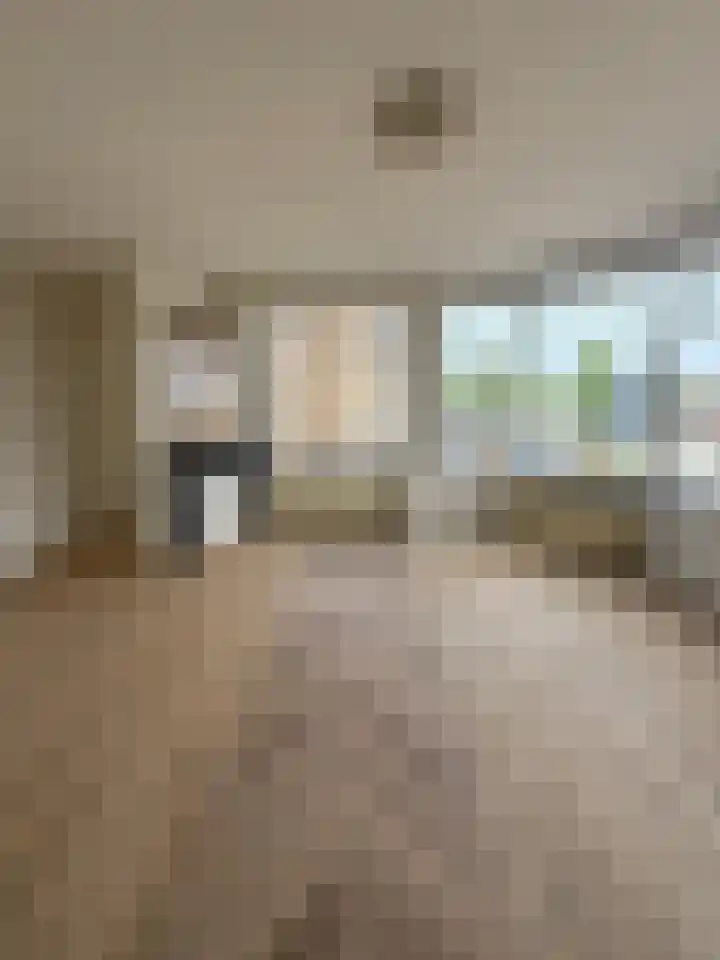 Soestdijksekade 273 Den Haag thumbnail 6
