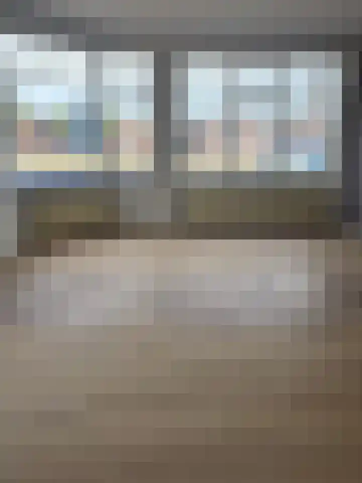 Soestdijksekade 273 Den Haag thumbnail 7