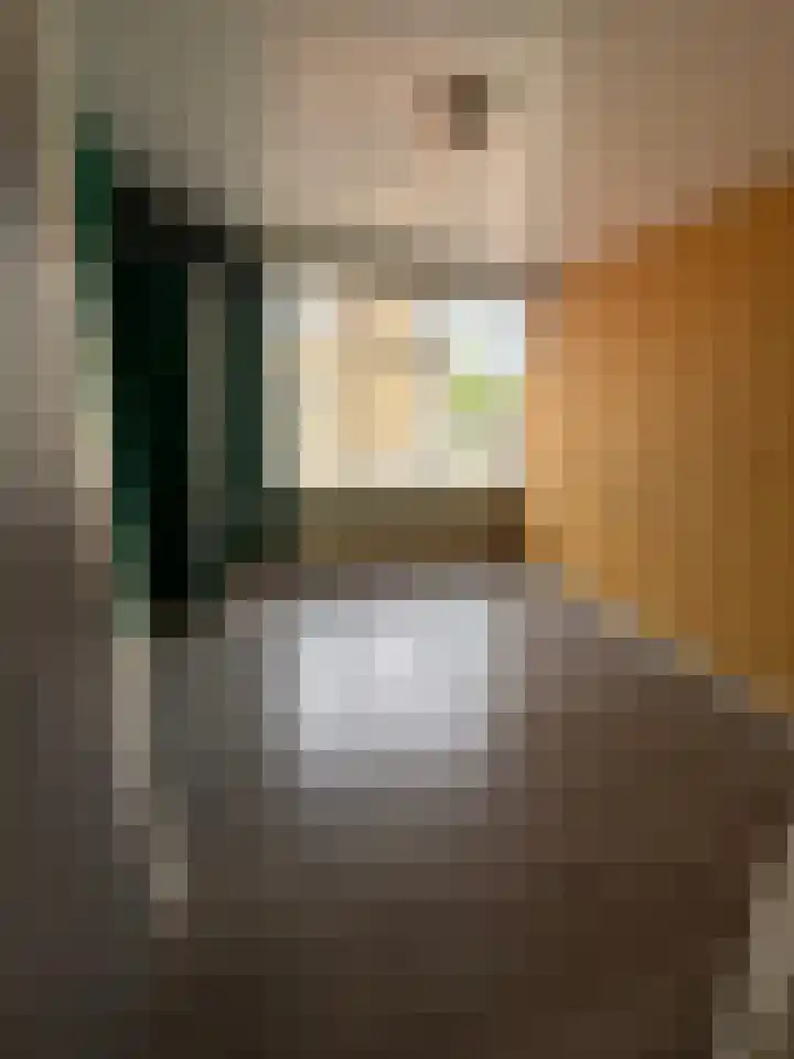 Soestdijksekade 273 Den Haag thumbnail 8