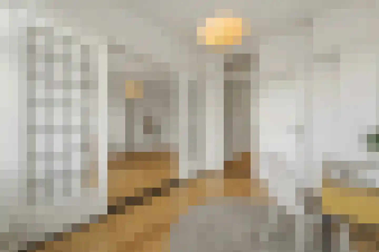 Soestdijksekade 275 Den Haag thumbnail 10