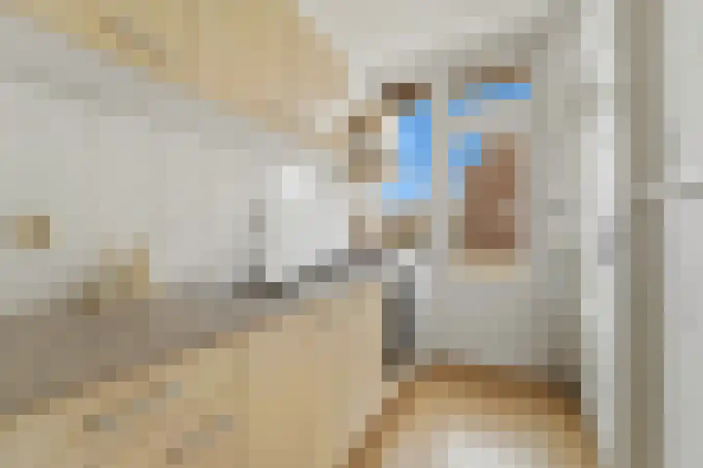 Soestdijksekade 275 Den Haag thumbnail 16
