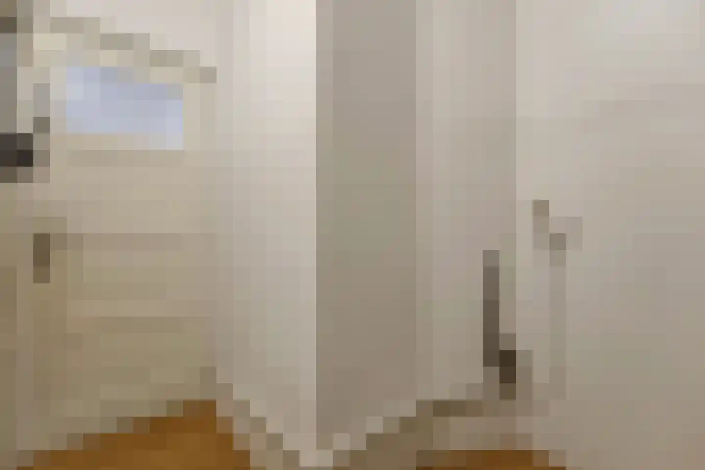 Soestdijksekade 275 Den Haag thumbnail 21