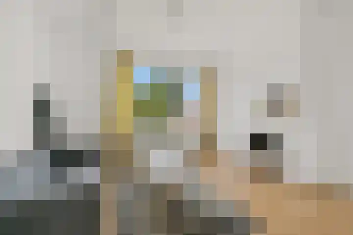 Soestdijksekade 276 Den Haag thumbnail 18