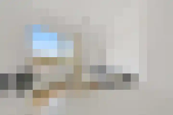 Soestdijksekade 276 Den Haag thumbnail 4
