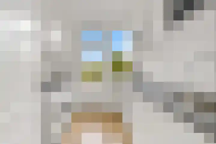 Soestdijksekade 276 Den Haag thumbnail 6