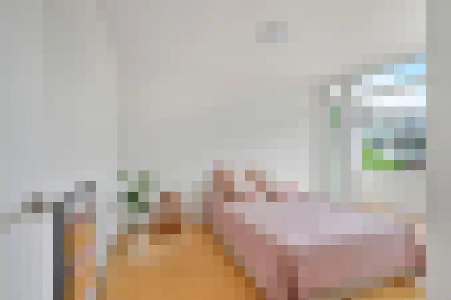 Soestdijksekade 292 Den Haag thumbnail 10