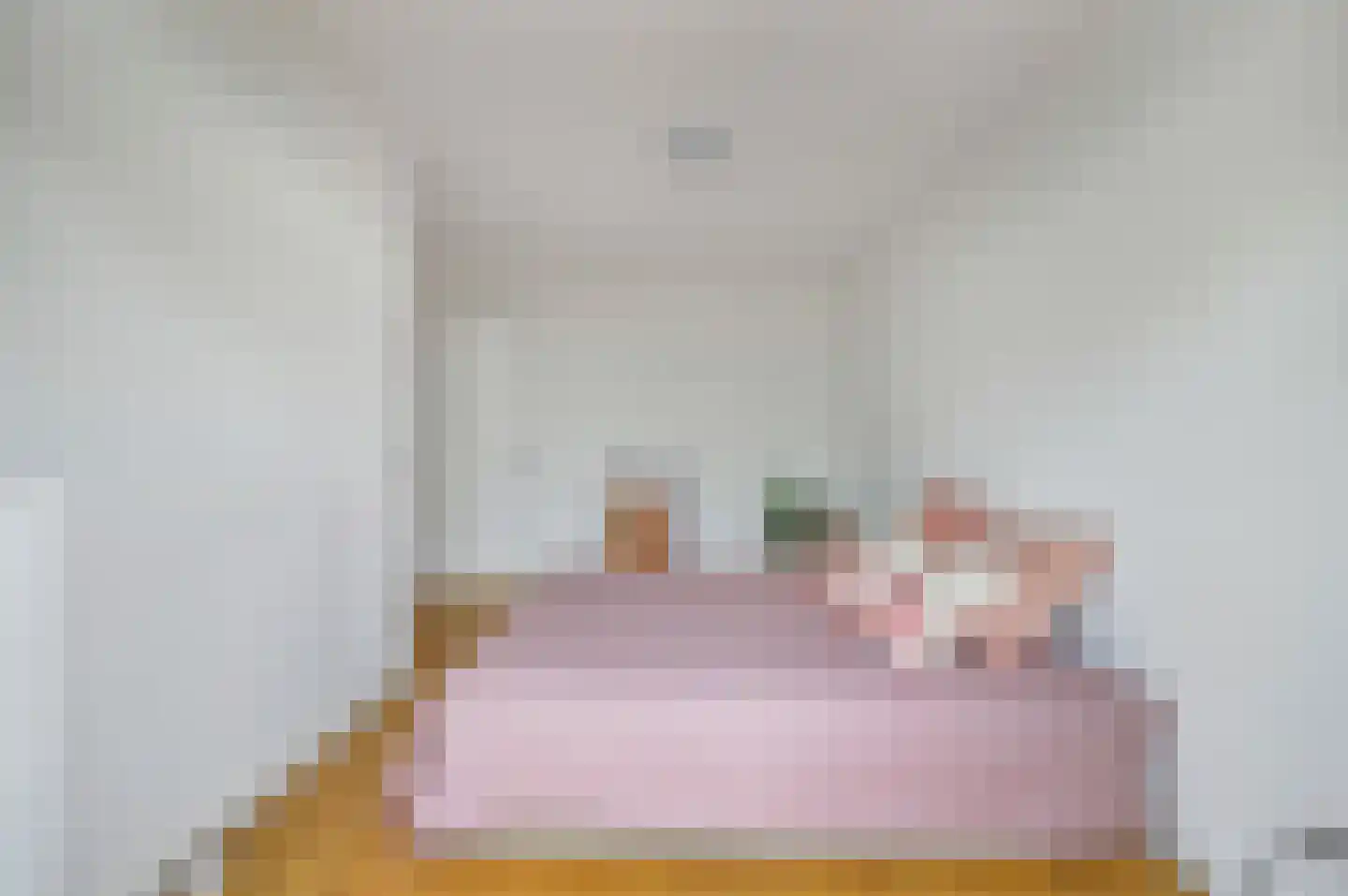 Soestdijksekade 292 Den Haag thumbnail 11
