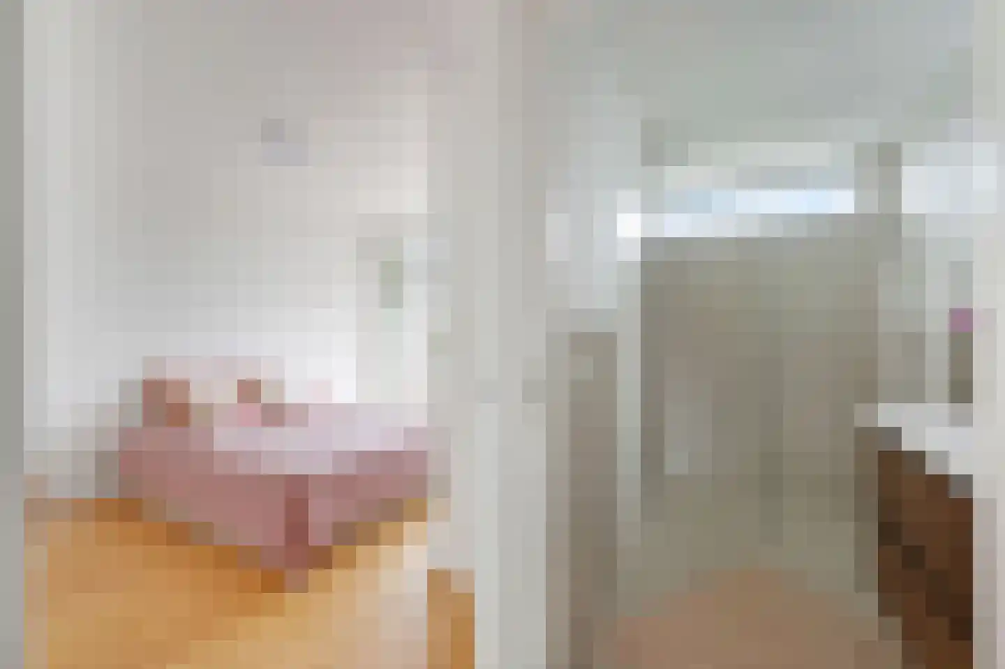 Soestdijksekade 292 Den Haag thumbnail 13