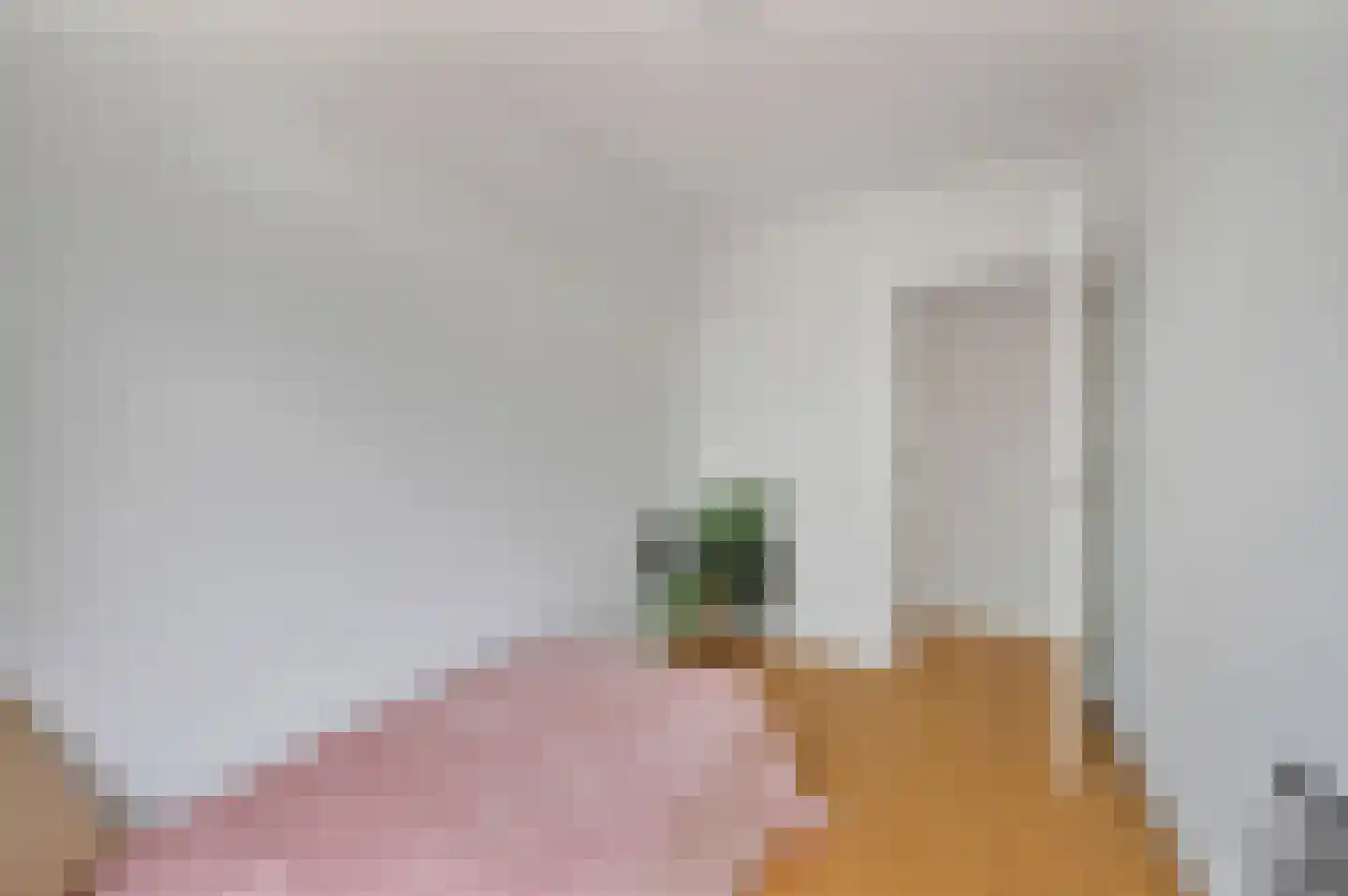 Soestdijksekade 292 Den Haag thumbnail 15