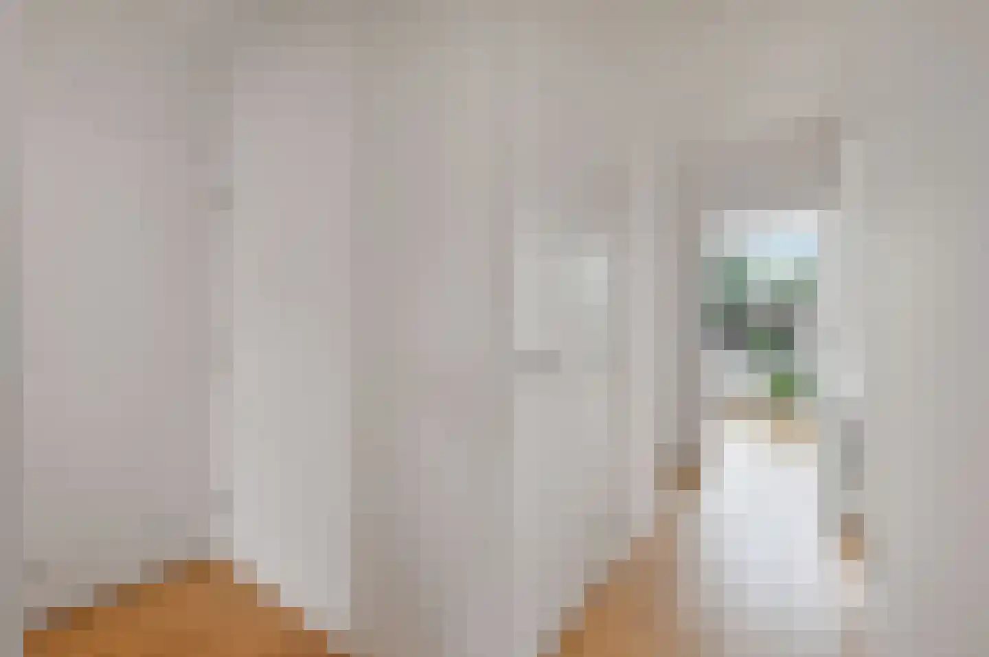 Soestdijksekade 292 Den Haag thumbnail 18