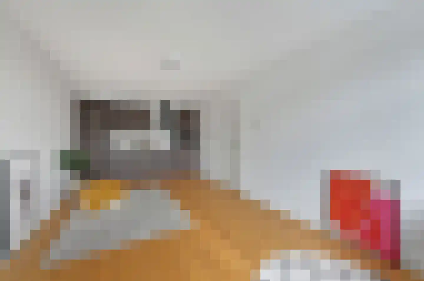 Soestdijksekade 292 Den Haag thumbnail 5
