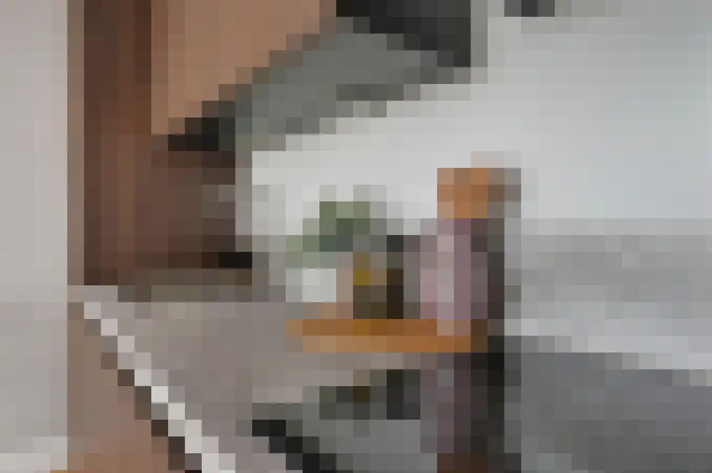 Soestdijksekade 292 Den Haag thumbnail 7