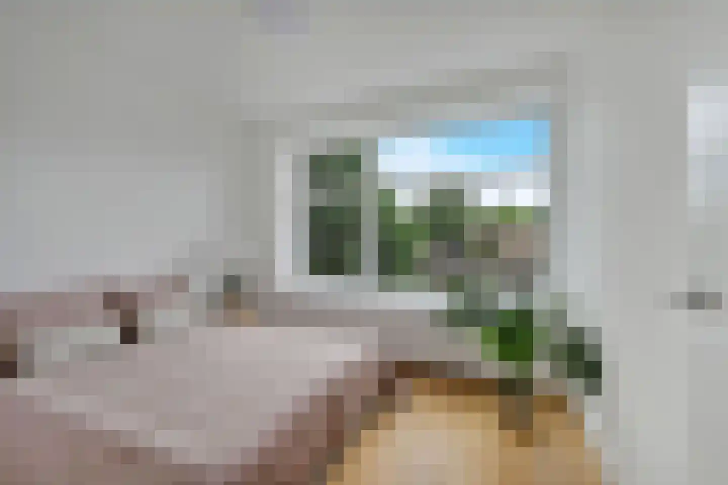 Soestdijksekade 292 Den Haag thumbnail 8