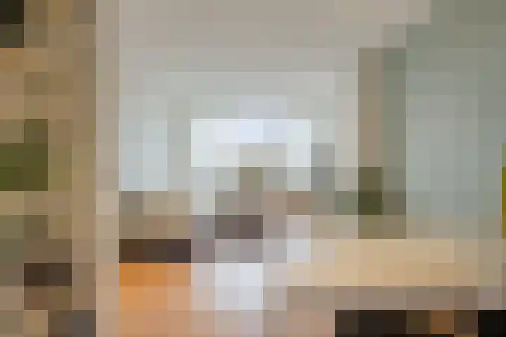 Soestdijksekade 295 Den Haag thumbnail 10