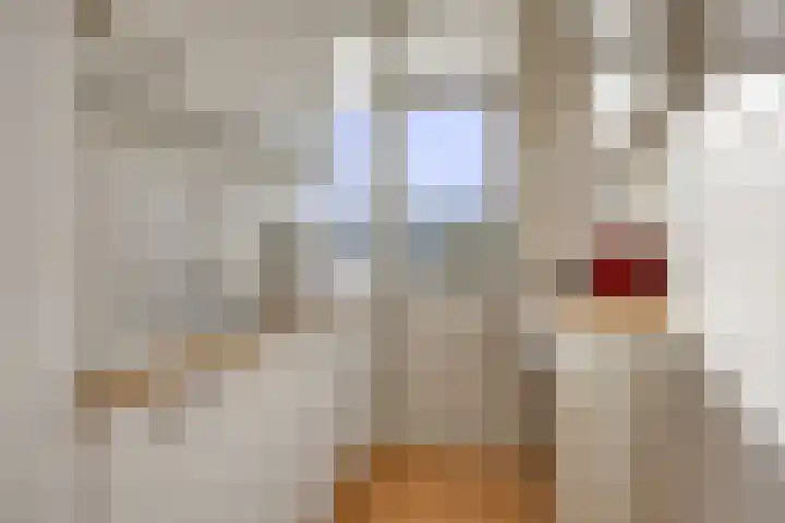 Soestdijksekade 295 Den Haag thumbnail 12