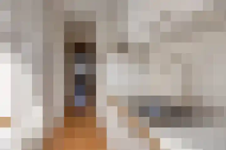 Soestdijksekade 295 Den Haag thumbnail 12