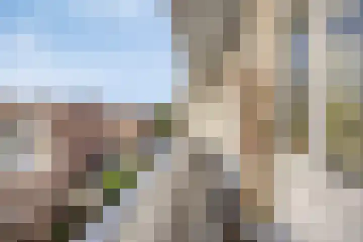 Soestdijksekade 295 Den Haag thumbnail 14